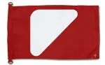 bandera roja socorrismo